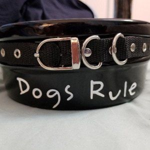 New Dogs Rule Bowl With Collar Accent